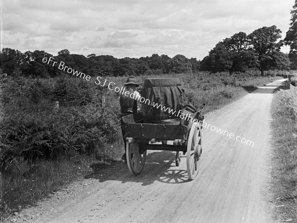 DONKEY AND MILK CART WITH FARMER